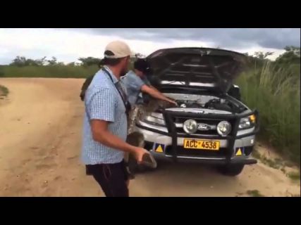 Что-то под капотом стучит в Магадане &laquo; автомагадан