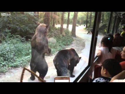 Прямо, а потом направо в Магадане &laquo; автомагадан