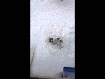 Когда гараж засыпало.. в Магадане &laquo; автомагадан