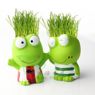 Госдума встает на защиту травы в Магадане &laquo; автомагадан