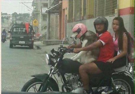 Подборка картинок в Магадане &laquo; автомагадан