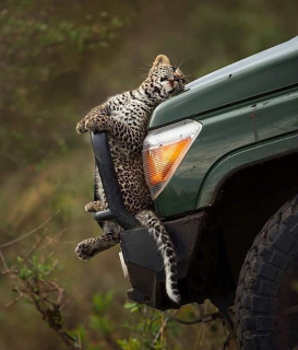 Подборка картинок в Магадане &laquo; автомагадан